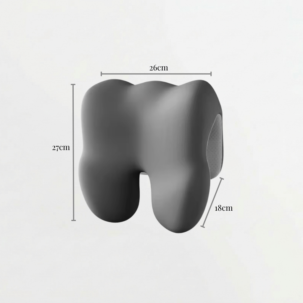 Neck and Lumbar Support Pillow for Sitting